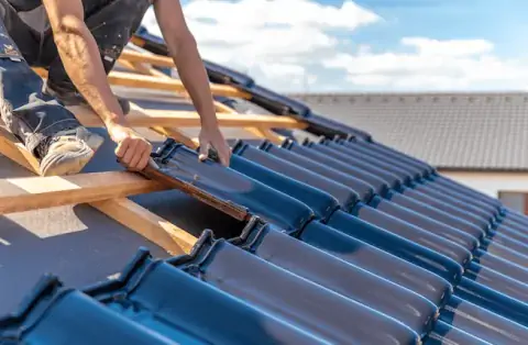 Couverture - L'Isle-de-Noé