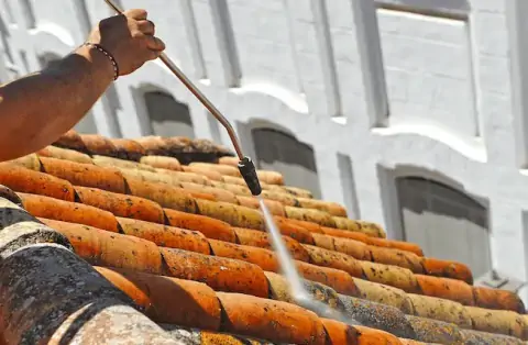 Nettoyage de toitures - L'Isle-de-Noé